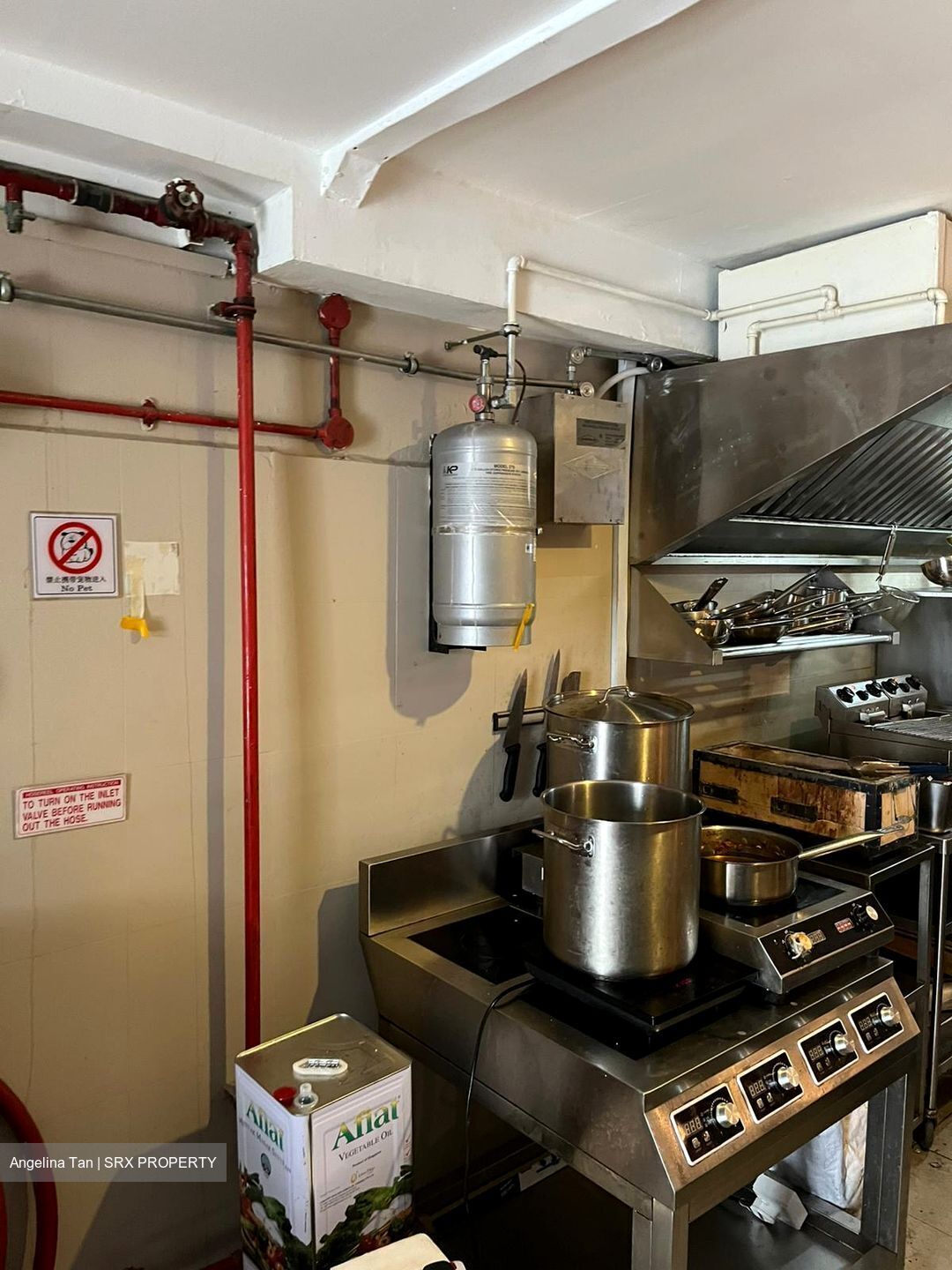 Telok Ayer Conservation Area (D1), Shop House #520728641